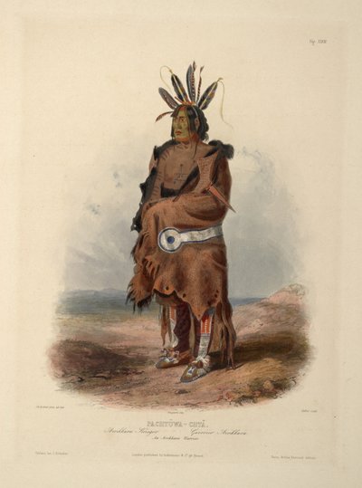 Un guerriero Arrikara da Karl Bodmer